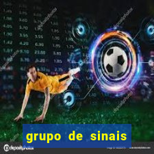 grupo de sinais mines whatsapp